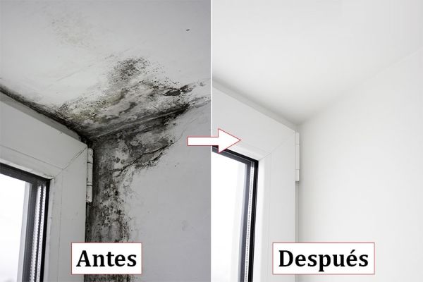 Eliminar Humedades Pamplona fotos antes y después