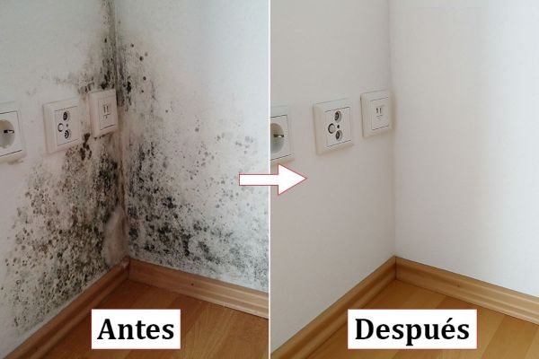 Reparación Humedades Pamplona fotos antes y después