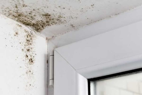 Reparación de humedades por condensación en Pamplona, Navarra Reparación de humedades por condensación en Pamplona, Navarra