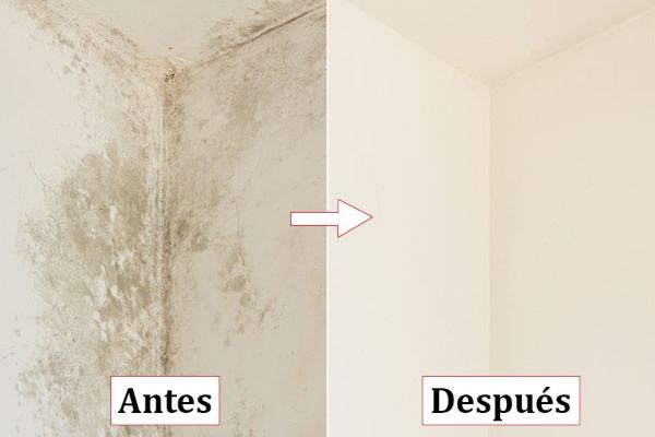 Servicio de reparación de Humedades Pamplona - fotos antes y después